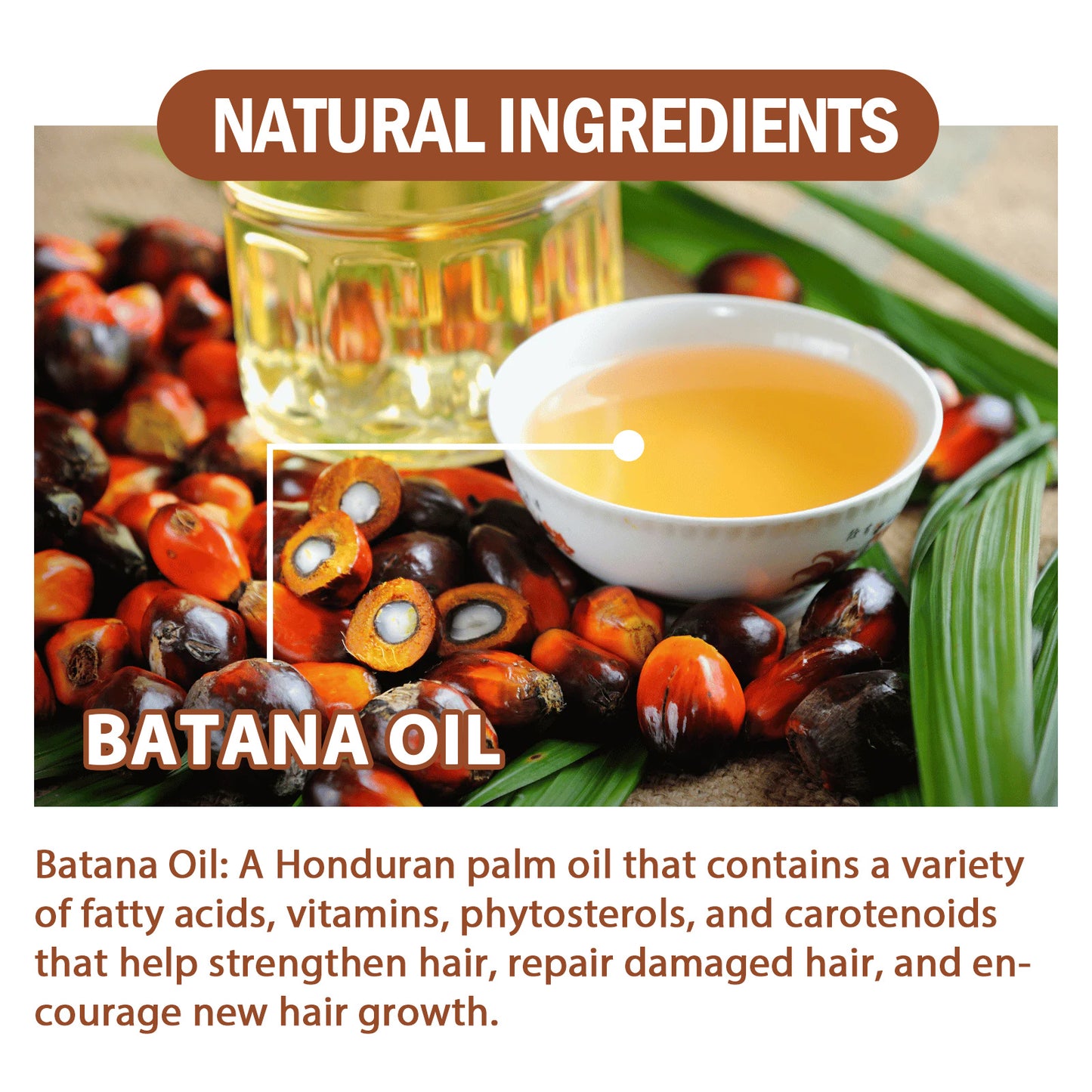 Natural Batana Oil For Men & Women 4.05 Fluid Ounces